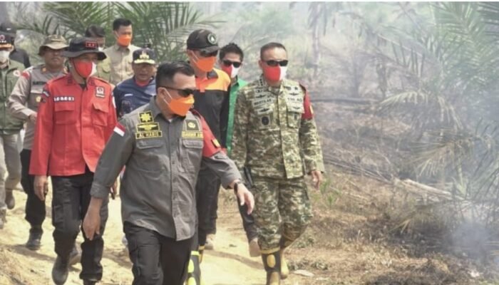 Karhutla Tahura Batang Hari, Al Haris Siapkan Dua Waterbombing