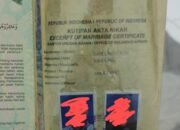 Dugaan Data Nikah Zahra-SM Dipalsukan, Wali Disebut Kakek yang Telah Wafat: Siapa Bertanggung Jawab?