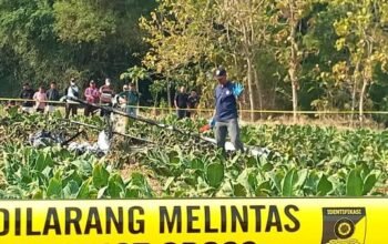 Pesawat PK-S360 Pendaratan Darurat di Blora, FASI Ungkap Lost Power hingga Total Loss 4 IMG 20260907 WA0008