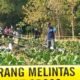 IMG 20260907 WA0008