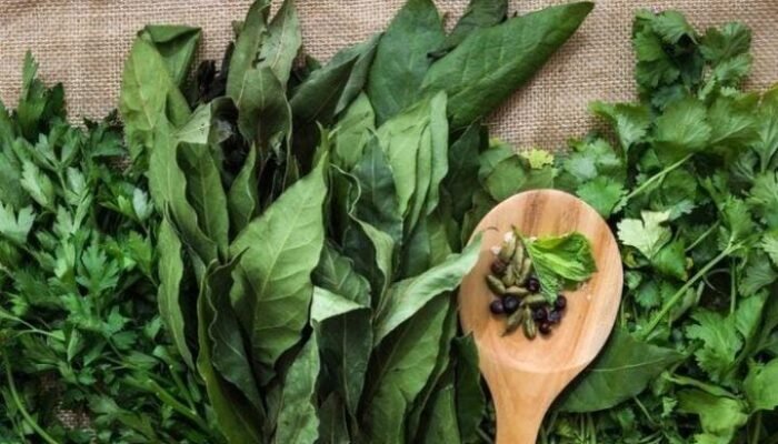Sering Dianggap Biasa, 8 Daun Herbal Ini Ternyata Punya Potensi Manfaat untuk Kesehatan