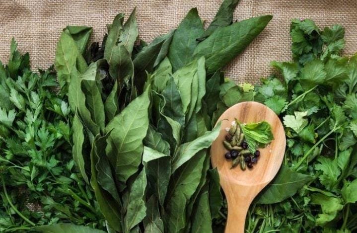 Sering Dianggap Biasa, 8 Daun Herbal Ini Ternyata Punya Potensi Manfaat untuk Kesehatan 1 IMG 20260909 WA0014