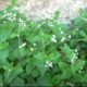 IMG 20260909 WA0015