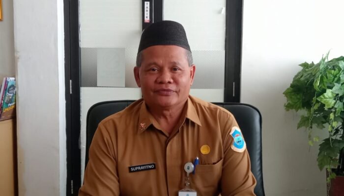 PPPK Paruh Waktu Pangkalpinang: 80 Pegawai Ditemukan Tak Lagi Aktif
