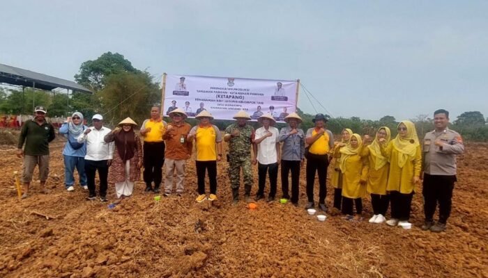 Penanaman Jagung 1 Hektare di Sindang Jaya, Polsek Pasar Kemis Dukung Ketahanan Pangan 2026