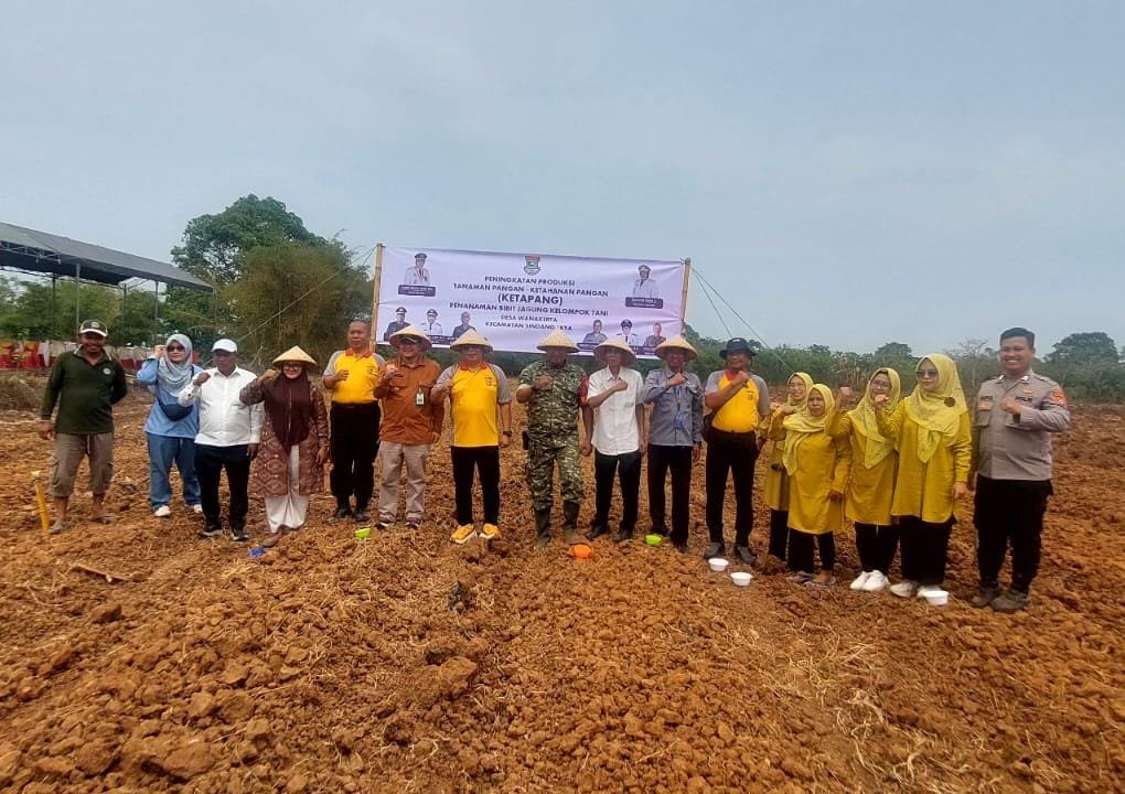 Penanaman Jagung 1 Hektare di Sindang Jaya, Polsek Pasar Kemis Dukung Ketahanan Pangan 2026 1 IMG 20261030 WA0064
