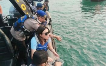 Jaga Ekosistem Biota Laut, Ditpolairud Polda Bali Lepasliarkan 100 Tukik di Pantai Tanjung Benoa 5 IMG 20261029 165244