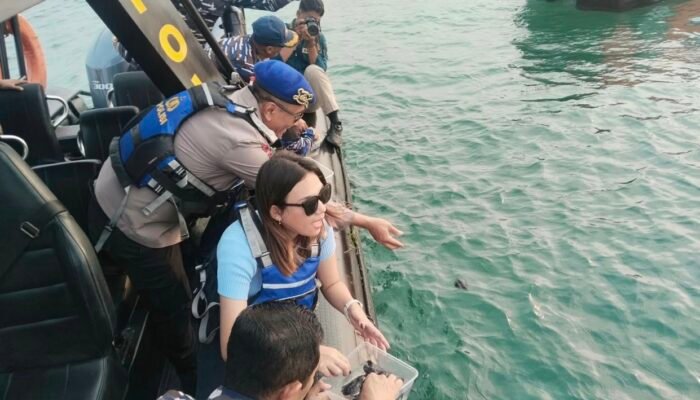 Jaga Ekosistem Biota Laut, Ditpolairud Polda Bali Lepasliarkan 100 Tukik di Pantai Tanjung Benoa