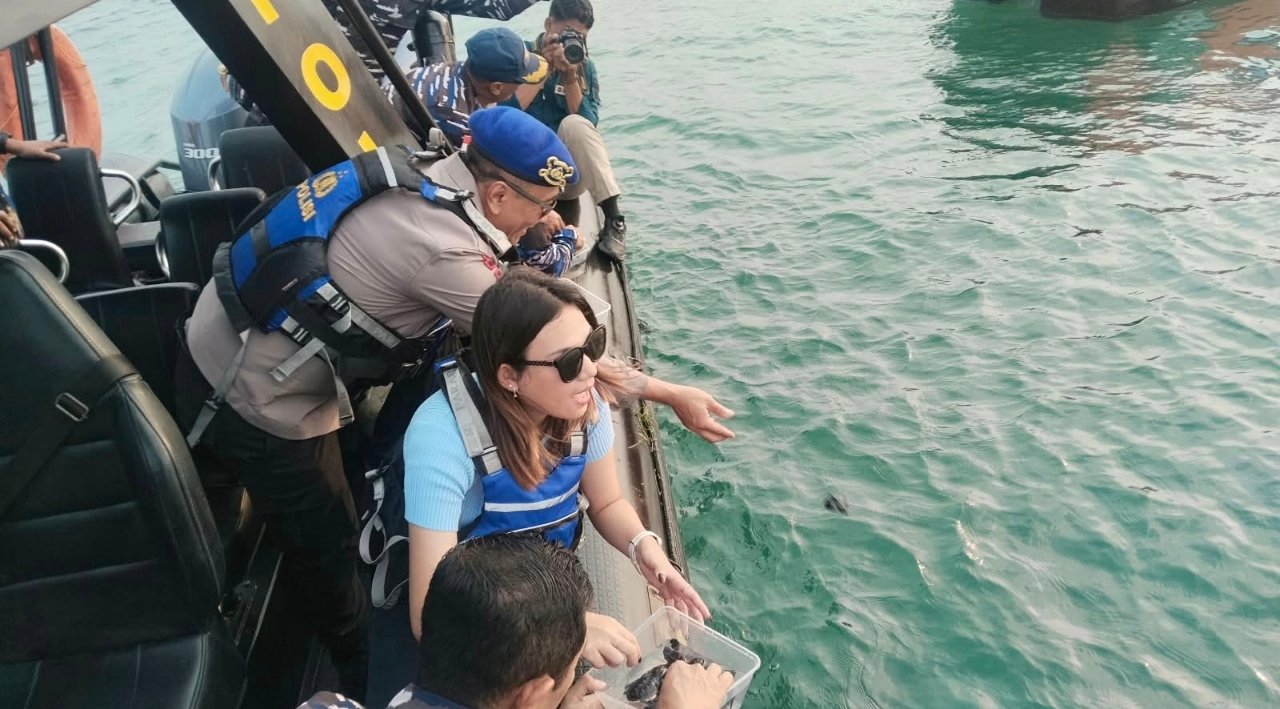 Jaga Ekosistem Biota Laut, Ditpolairud Polda Bali Lepasliarkan 100 Tukik di Pantai Tanjung Benoa 1 IMG 20261029 165244